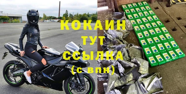 молекула духа Киреевск